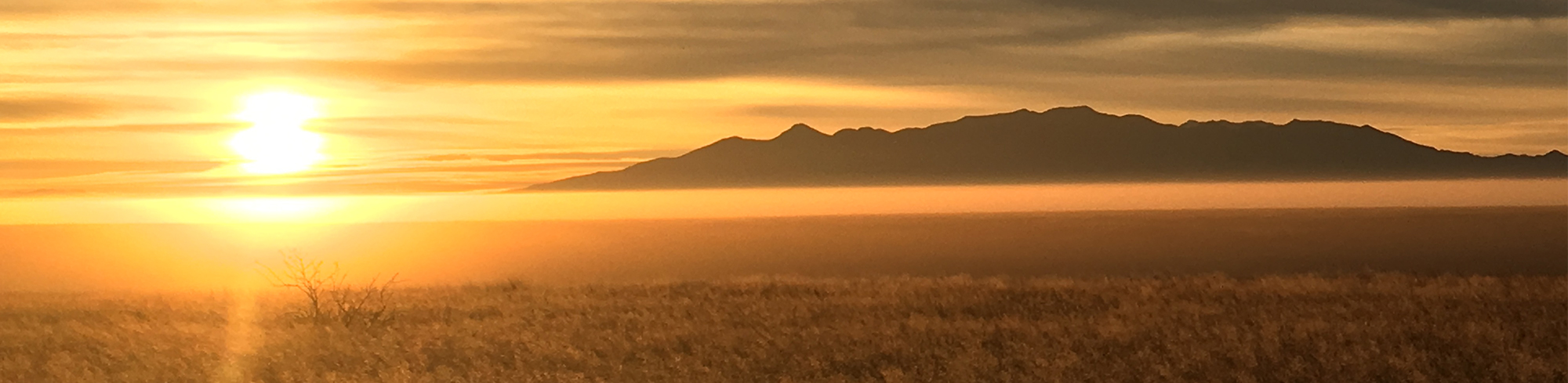 Sunrise over field with mountains in the background