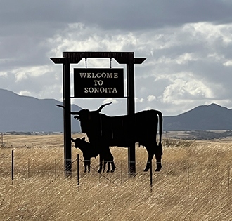 A sign that reads WELCOME TO SONOITA with a  longhorn and her baby below it
